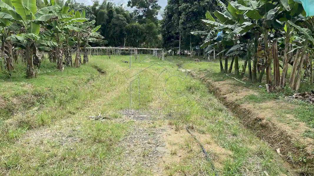 Finca La Esperanza